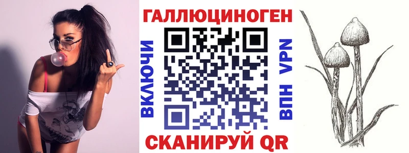 Галлюциногенные грибы Psilocybine cubensis  Нерехта 